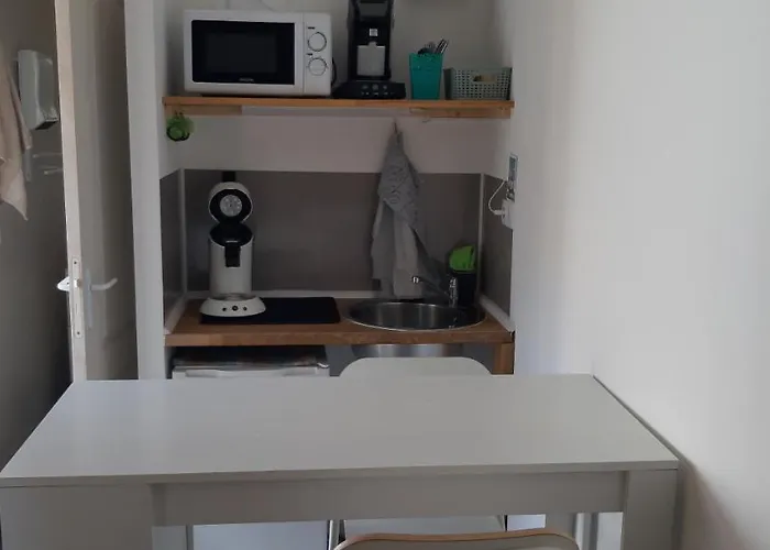 Petit Studio Independant Dans Jardin Avec Parking Et Portail Electrique