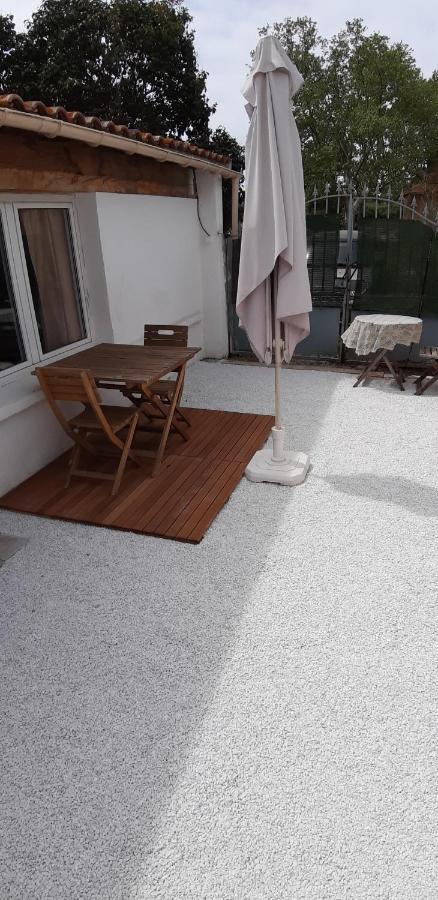 Petit Indépendant Dans Jardin